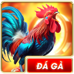 Đá gà 98win
