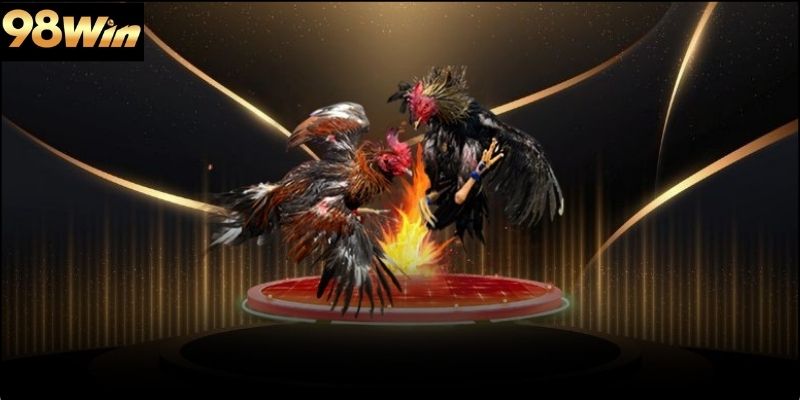 Lợi ích khi tham gia đá gà 98win