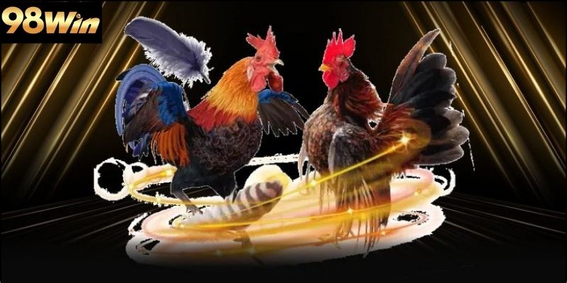 Cách xem chân và lực đá