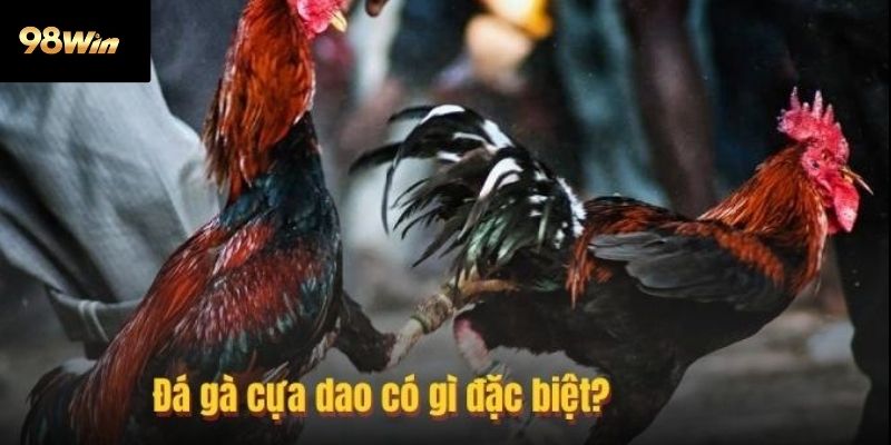 Trải nghiệm trực tuyến nâng tầm quan sát