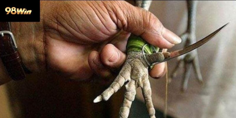 Cách tiếp cận hiệu quả