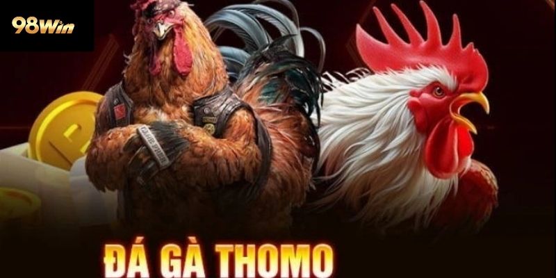 đá gà thomo 98win
