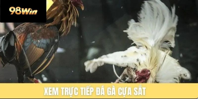 Cách tiếp cận hiệu quả