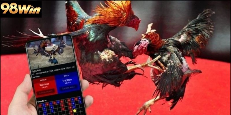 Đá gà cựa sắt 98win